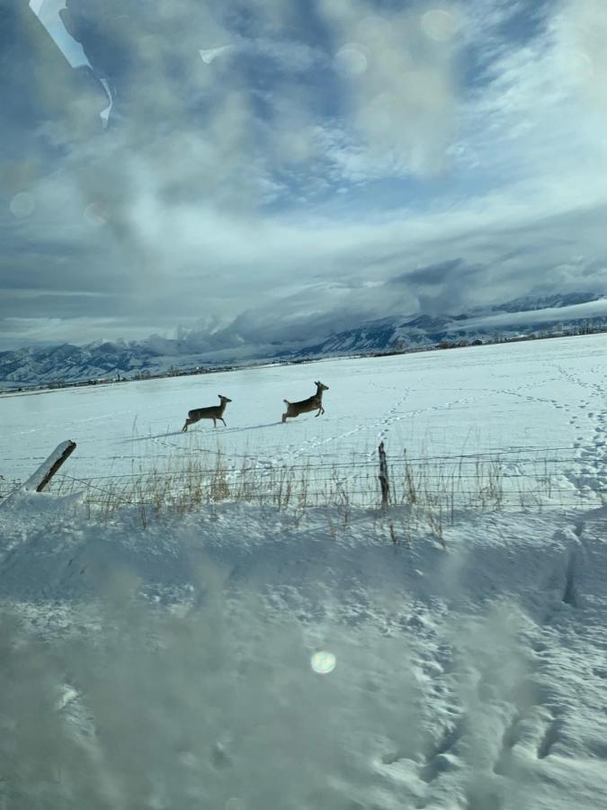 Fox Hollow Inn Bozeman Kültér fotó