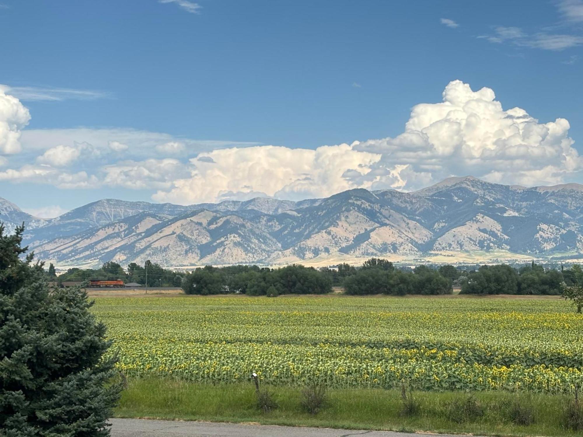 Fox Hollow Inn Bozeman Kültér fotó