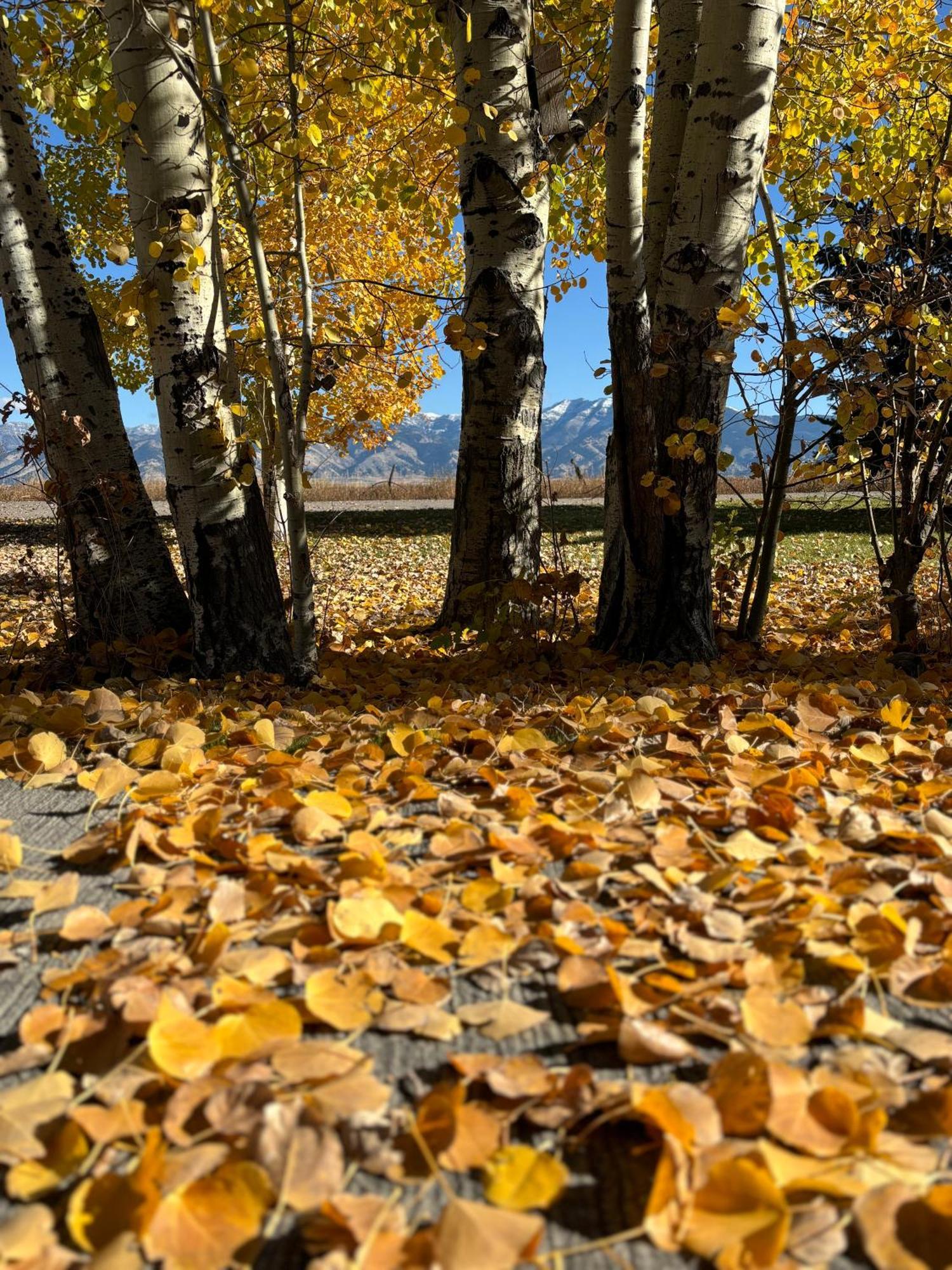 Fox Hollow Inn Bozeman Kültér fotó